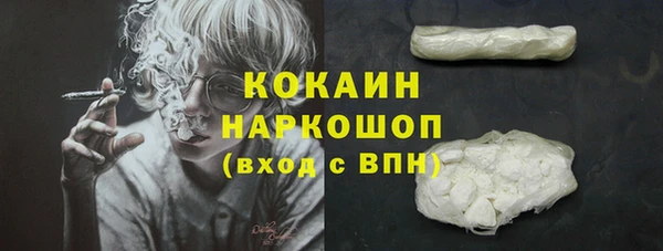 хмурый Верея