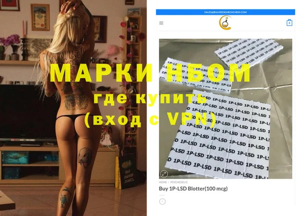 хмурый Верея