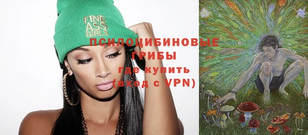 шишки Волосово