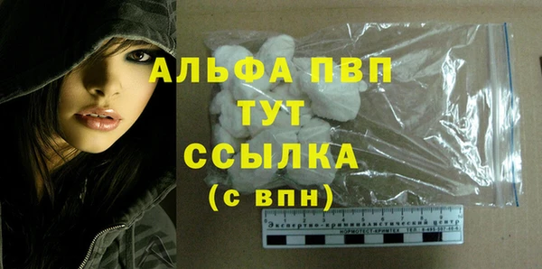 хмурый Верея
