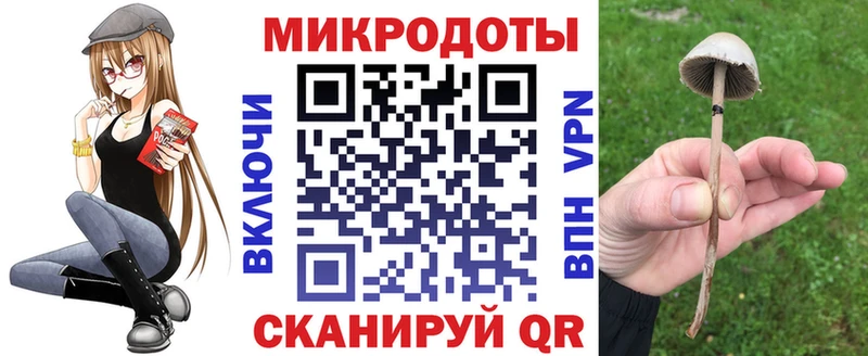 Псилоцибиновые грибы Psilocybe  купить закладку  Первоуральск 